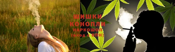 мдпв Каменка