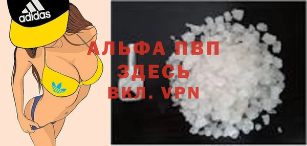 мдпв Каменка