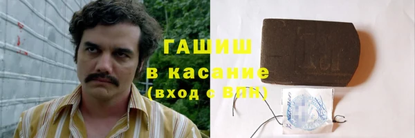 мдпв Каменка