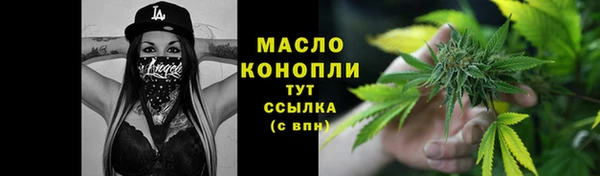 мдпв Каменка
