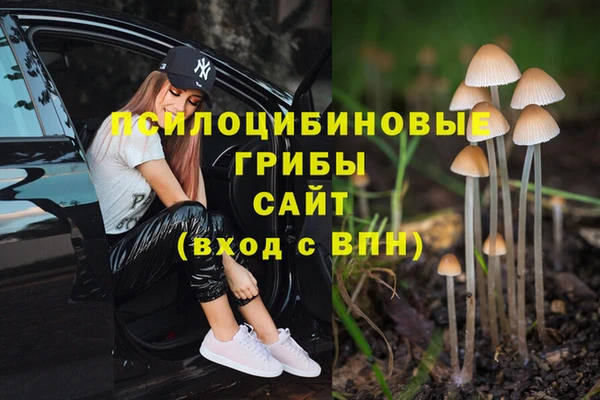 MDMA Premium VHQ Каменск-Шахтинский