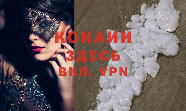 mdpv Каменногорск