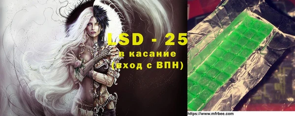 мдпв Каменка