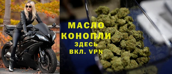 mdpv Каменногорск