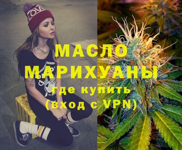 мдпв Каменка
