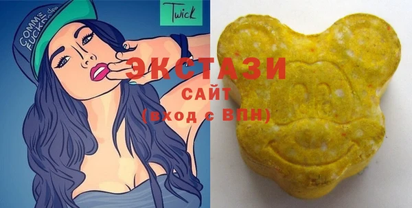 мдпв Каменка