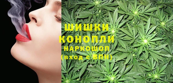 мдпв Каменка