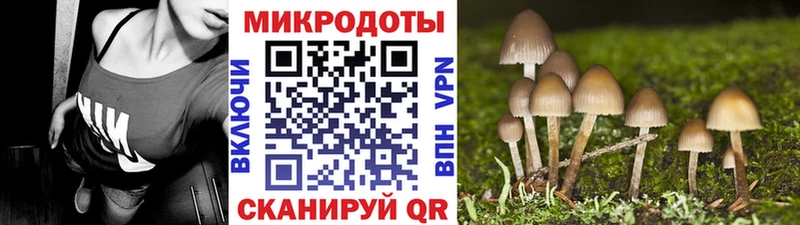 Псилоцибиновые грибы Cubensis  Купить  Кинель 